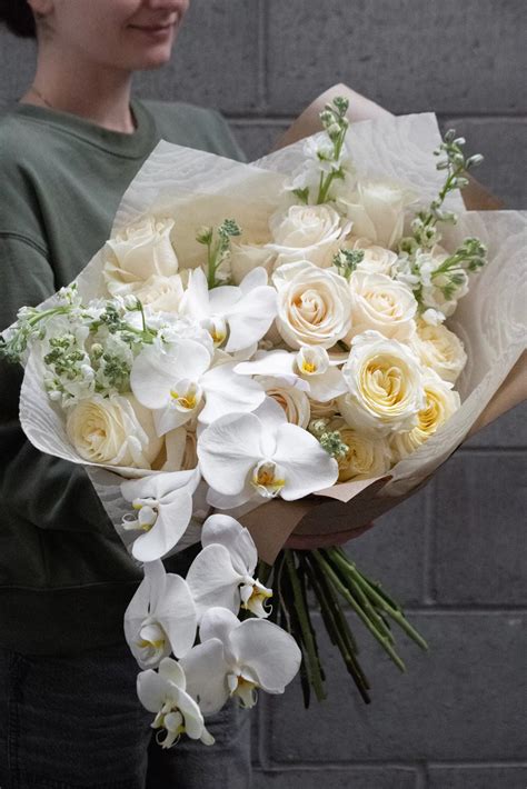 White Orchid Flowers White Orchid Plant Single Orchids Delivery
