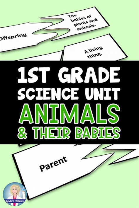 Dogs for 1st Graders Science 的图像结果