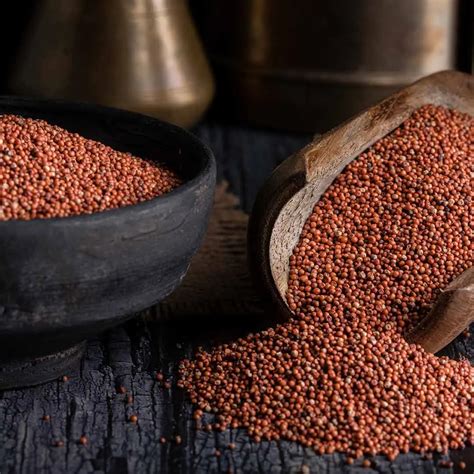 FINGER MILLET
