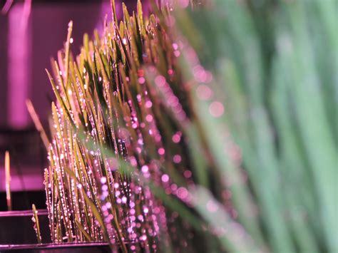 Image result for Fodder Container Boxes