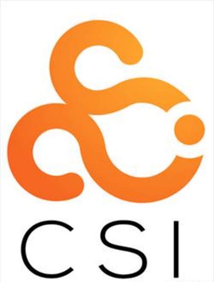 CSI Memory Unit 的图像结果