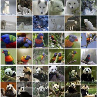 Image result for Class Conditional