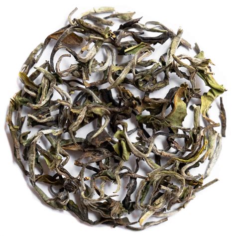 2025 First Flush Indian Tea Sampler | Ketlee