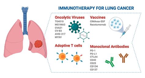 Immunotherapy in Lung Cancer | Encyclopedia MDPI