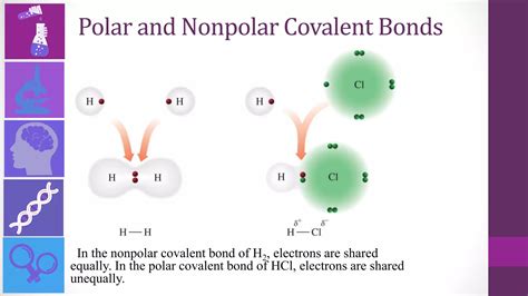 Polar Bonds and Polar Molecules.pptx