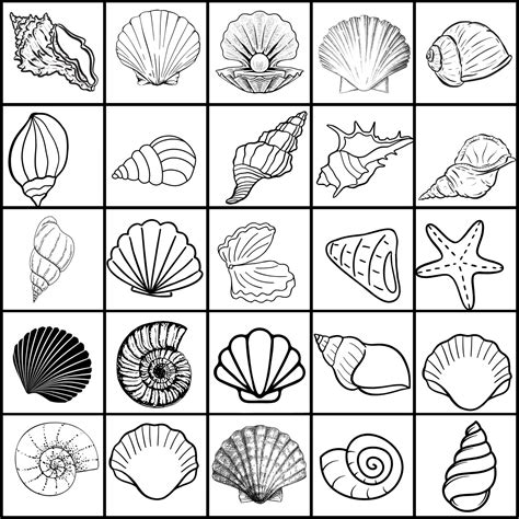 Image result for SeaShell SVG