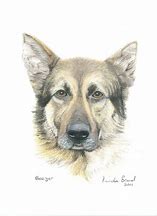 tutorial draw so cute fruit salad