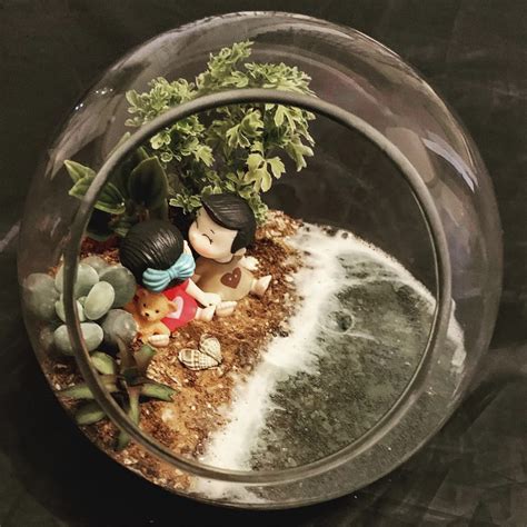 Buy A Mini Garden With Homescapes | LBB, Bangalore