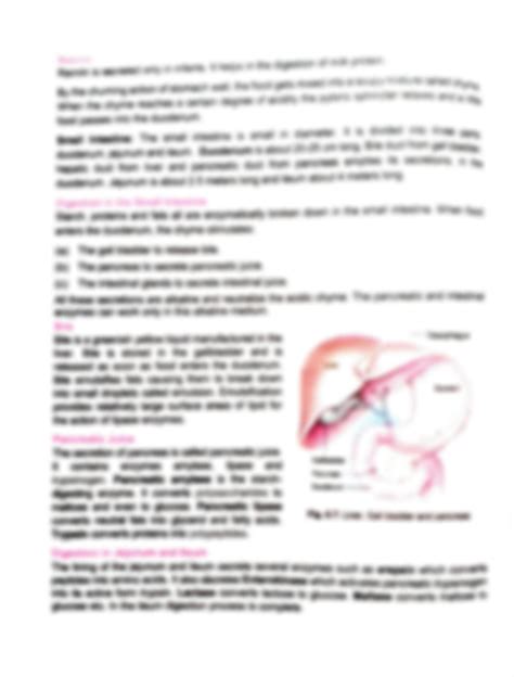 Digestion Process Explained 的图像结果