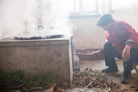 回潍坊农村老家看望叔叔，老两口忙着烧火做饭全是我爱吃的