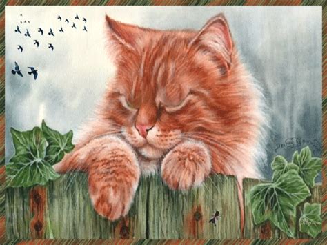 Pin by Abra Gorana on ABRA's Kätzchen ~.~ | Cats and kittens, Waterfall ...