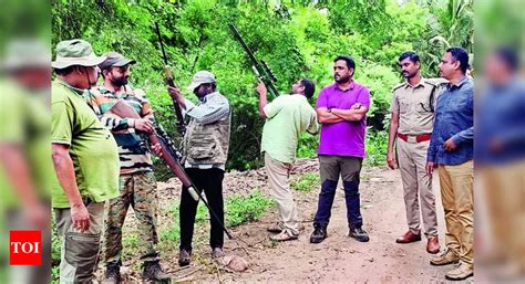 Tusker Looks Healthy, Bleeding Has Stopped, Says Veterinary Officer ...