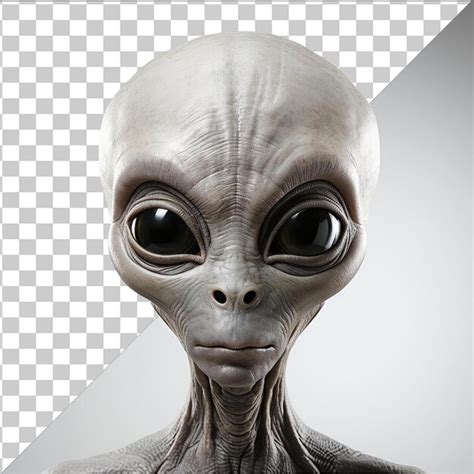Alien Looks 的图像结果
