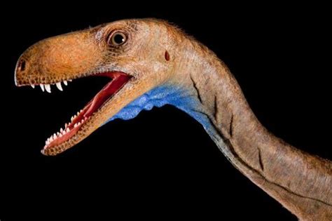 探索恐龙灭绝之谜 — 未解之谜网