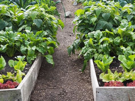 Image result for Soil Bio Technology