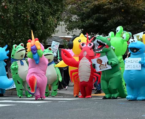 On No Kings Weekend, Chants, Inflatable Costumes, and Tear Gas Shroud ...