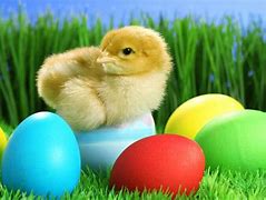 Image result for Happy Easter Bunny Clip Art