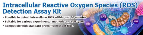 Intracellular Reactive Oxygen Species (ROS) Detection Assay Kit | Tokyo ...