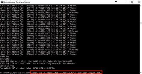 Recover MP4 File 的图像结果