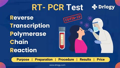 RT-PCR Test Procedure 的图像结果