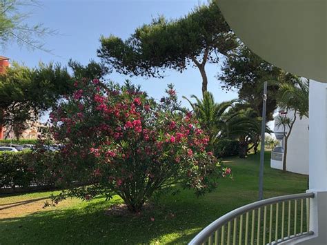 IBEROSTAR SELECTION ALBUFERA PARK (Playa de Muro) - All-inclusive ...