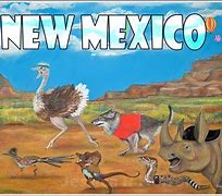 Image result for New Mexico Desert Rabbit Nest