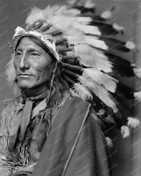 3 Ways to Find Your American Indian Blood Test Results