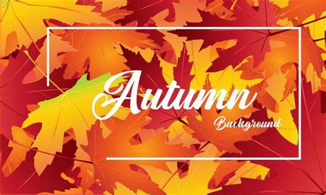 Image result for Pattern Fill Colors