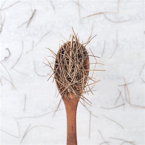 IMMUNITY – One Herb
