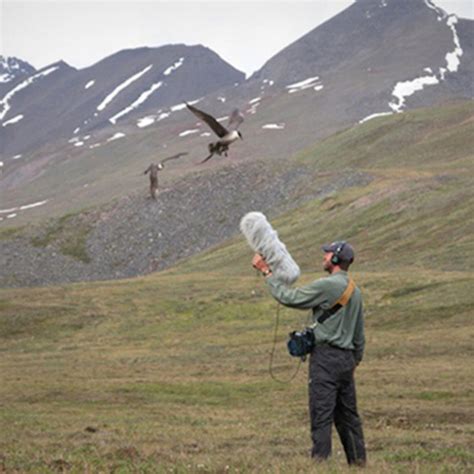 Audio Sound Library 的图像结果