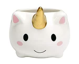 Qiuhome Mini Cute Succulent Planter Pots Flower Pot Decorative White ...