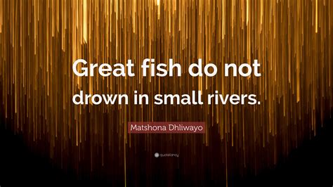 Matshona Dhliwayo Quote: “Great fish do not drown in small rivers.”