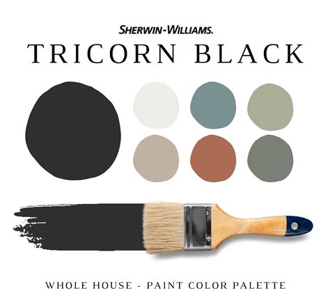 Sherwin Williams TRICORN BLACK Paint Color Palette Studio - Etsy Canada