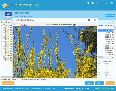 Image result for Free Download SD Card File Recovery Software