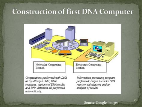 Bio Computer Science 的图像结果