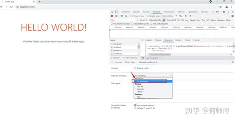 Http Localhost 0 的图像结果