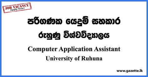 Image result for Computer Application Assistant