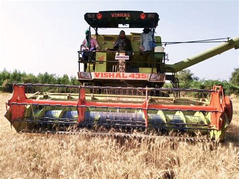 Farmers do not find it difficult to get coriander seeds, standing crops ...
