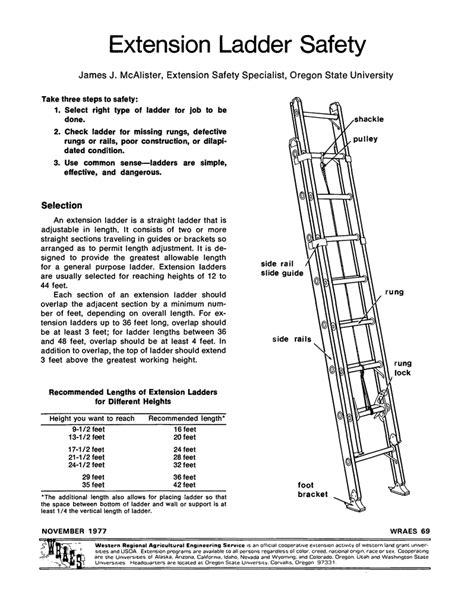 Image result for Extension Ladder Safety