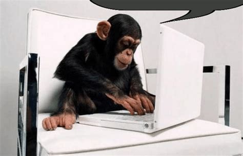 Image result for Monkey Using a Computer GIF
