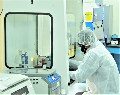 Forensic DNA Analysis Methods 的图像结果