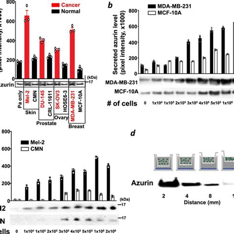 Image result for Azu Protein