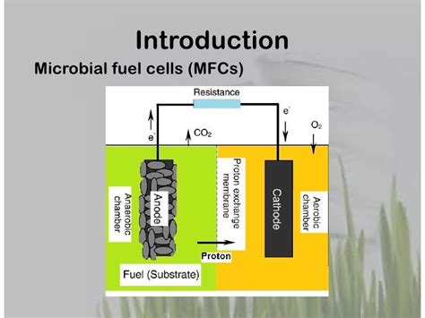 Image result for Microbial Fuel Cell Anode and Cathode