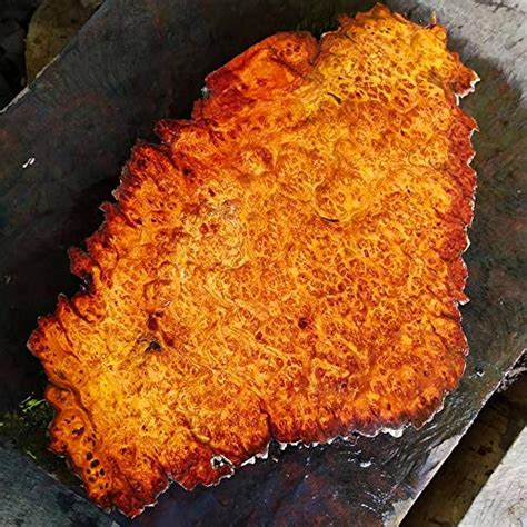 Buy Briskly41 Burl Amboyna Wood Turning Scale Pen Blanks Lumber Crafts ...
