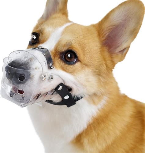 Snapklik.com : Dog Muzzle, Basket Muzzle For Small Medium Dogs Poodle ...