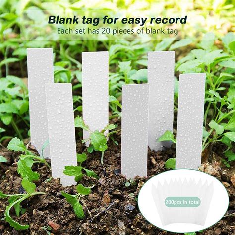 3-Set Strong Plant Growing Trays with Humidity Domes for Seed Starting ...