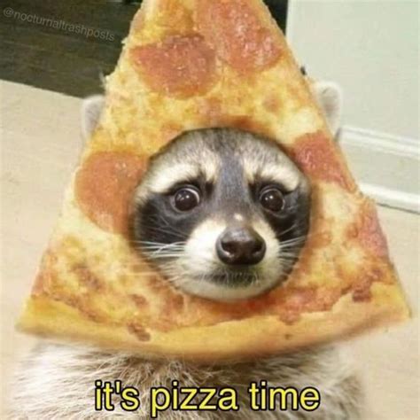 Random Funny Stuff 的图像结果