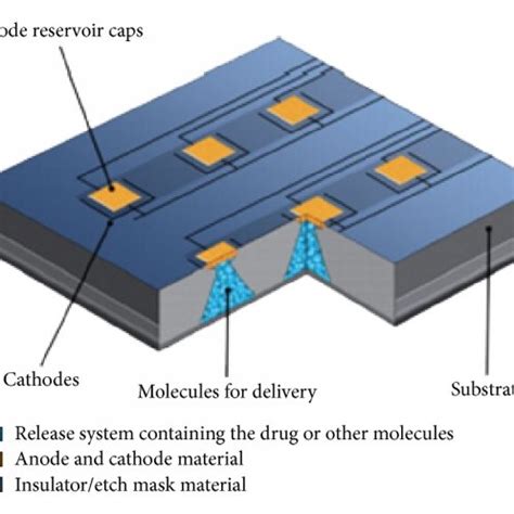 Image result for Microchip Expanded