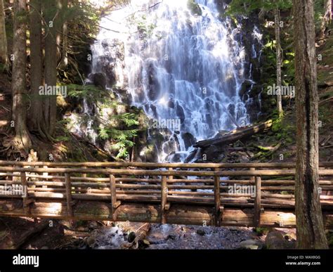 Ramona Falls Hike at Mt Hood Wilderness in Oregon Stock Photo - Alamy