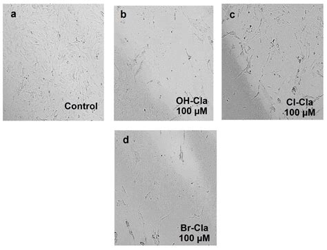 Target-Oriented Synthesis of Marine Coelenterazine Derivatives with ...